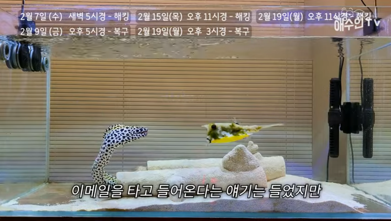 유튜브 계정이 3번이나 해킹 당한 이유 | 인스티즈