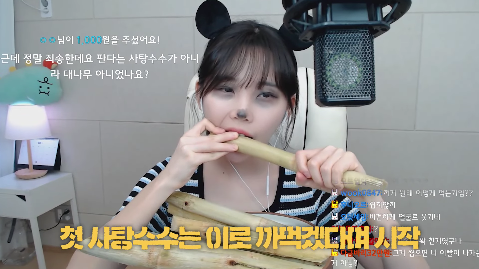 이젠 나무먹방까지 하는 우정잉 | 인스티즈