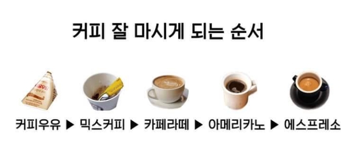 커피 잘 마시게 되는 순서.jpg | 인스티즈
