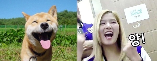 도지코인 닮은 아이돌 ㄷㄷㄷ.JPGIF | 인스티즈