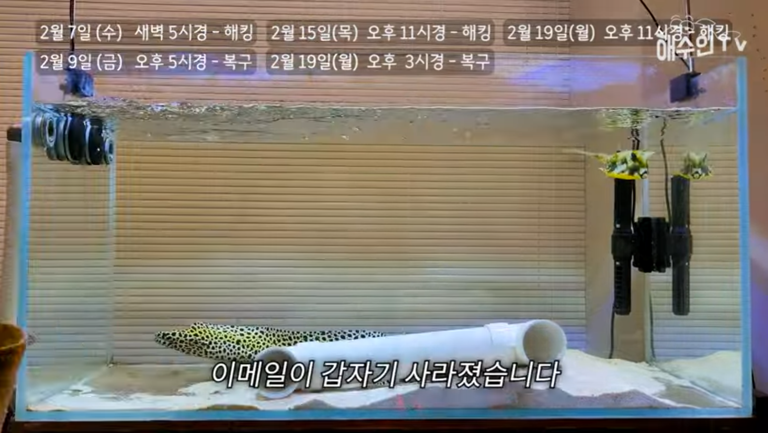 유튜브 계정이 3번이나 해킹 당한 이유 | 인스티즈