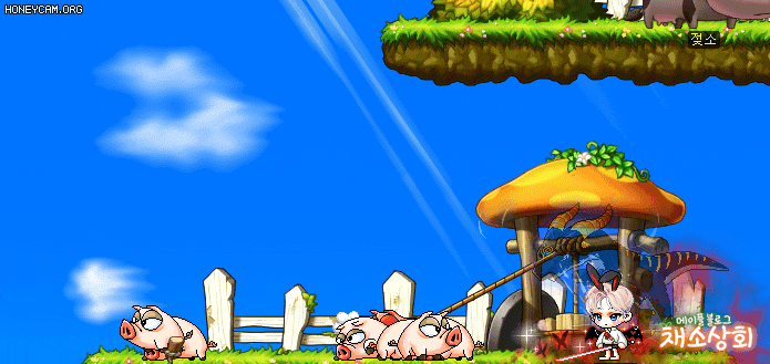 메이플스토리 데미지 스킨 모음 | 인스티즈