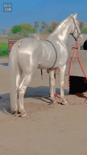 은마 | 인스티즈