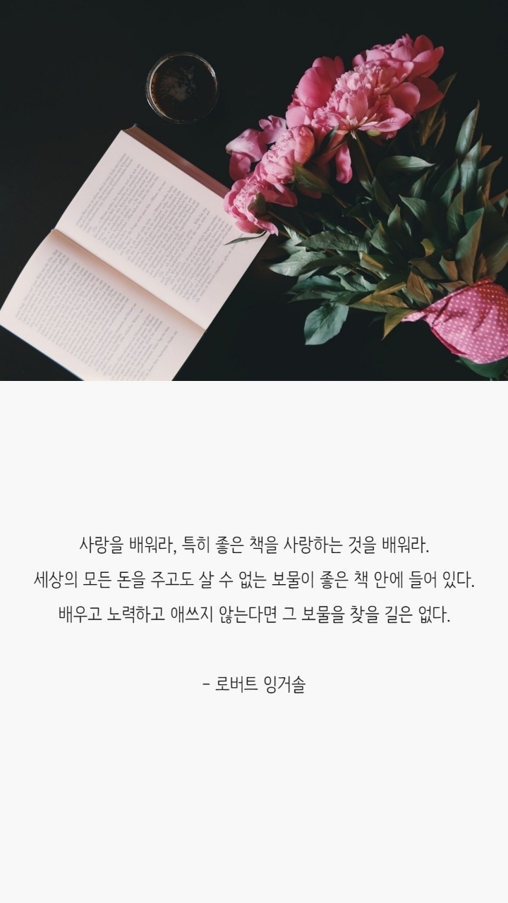 독서욕구 자극하는 책 명언 | 인스티즈