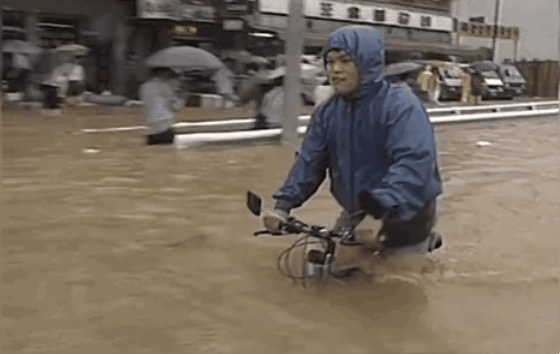 4b3bfa2eb2646ec1e61d378580886bd664a2c761