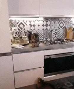 상남자의 스킨십 .gif | 인스티즈