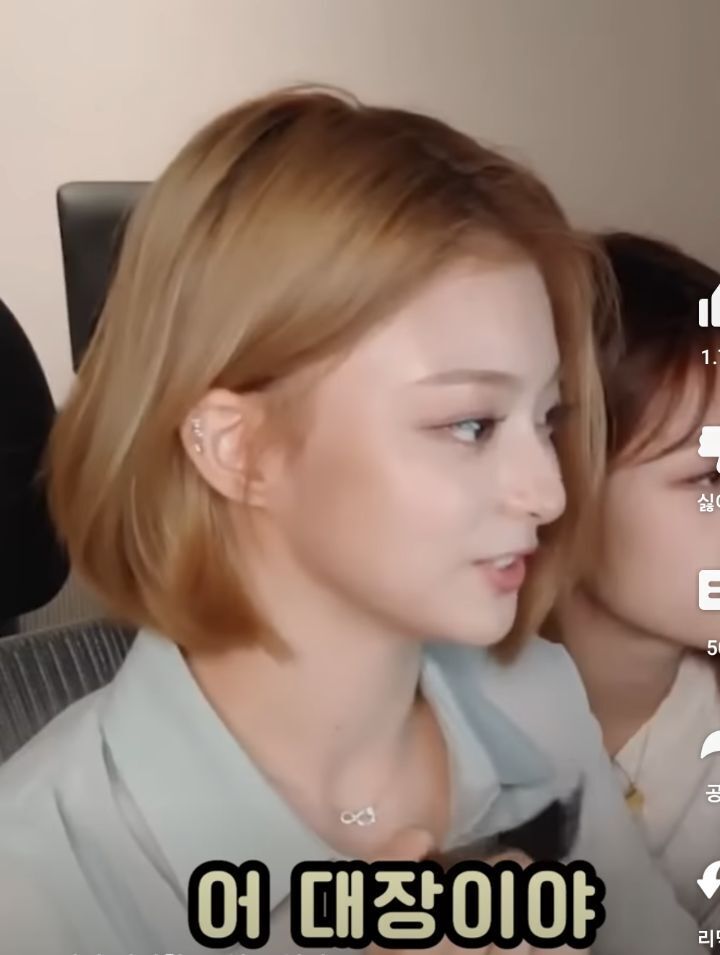 장군급에서 수직 낙하하는 여자 아이돌 | 인스티즈