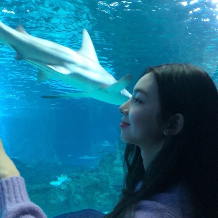 카리나랑 아쿠아리움을 가면.jpg | 인스티즈