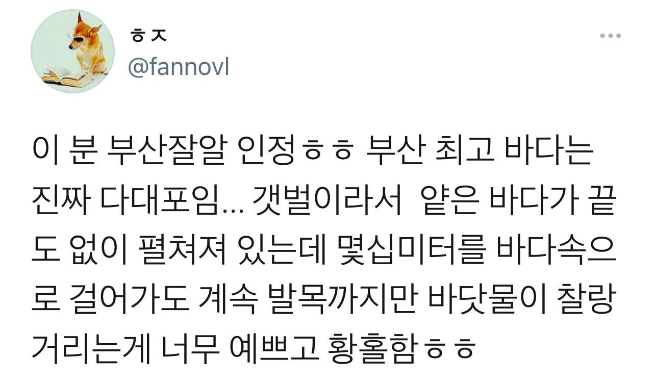 캘리포니아 체험 가능하다는 부산 바다.jpg | 인스티즈