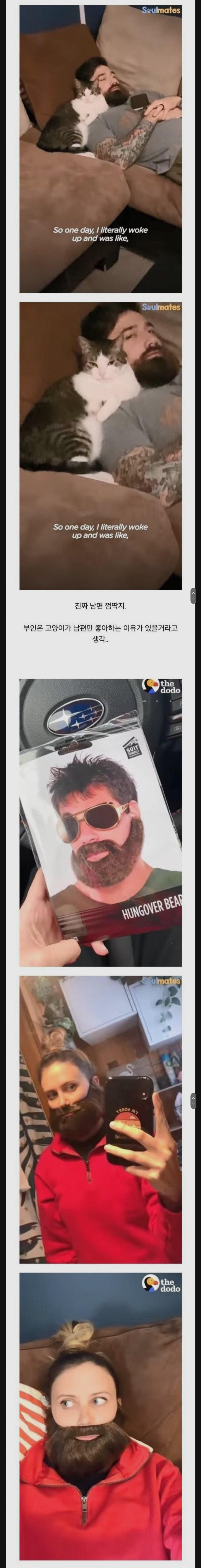 고양이가 남편만 좋아하는이유 | 인스티즈