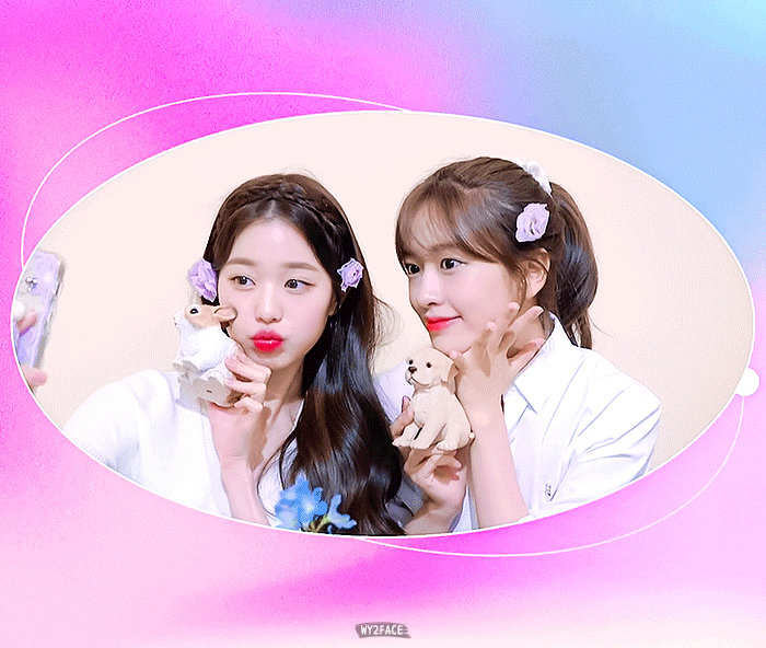 데뷔 이후 햇수로 5년 만에 처음으로 자컨나온 아이브 안녕즈 안유진 장원영.gif | 인스티즈