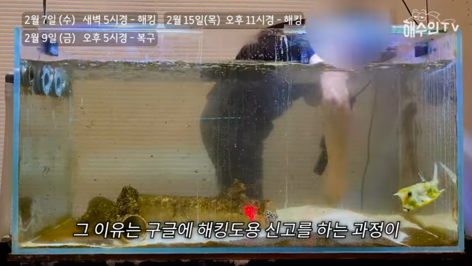 유튜브 계정이 3번이나 해킹 당한 이유 | 인스티즈