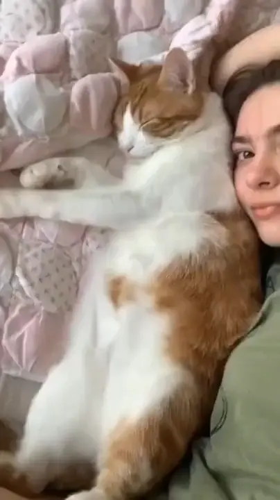 집사랑 같이 자냥.gif | 인스티즈