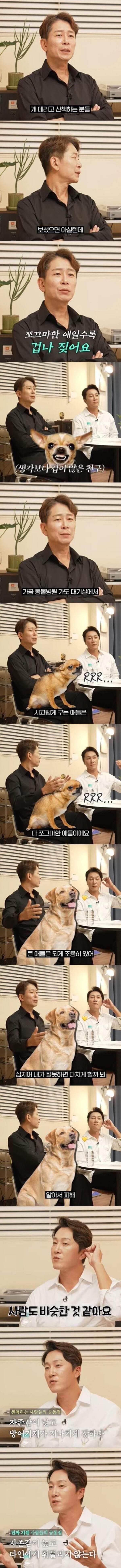 기가 센 사람들의 공통점 | 인스티즈