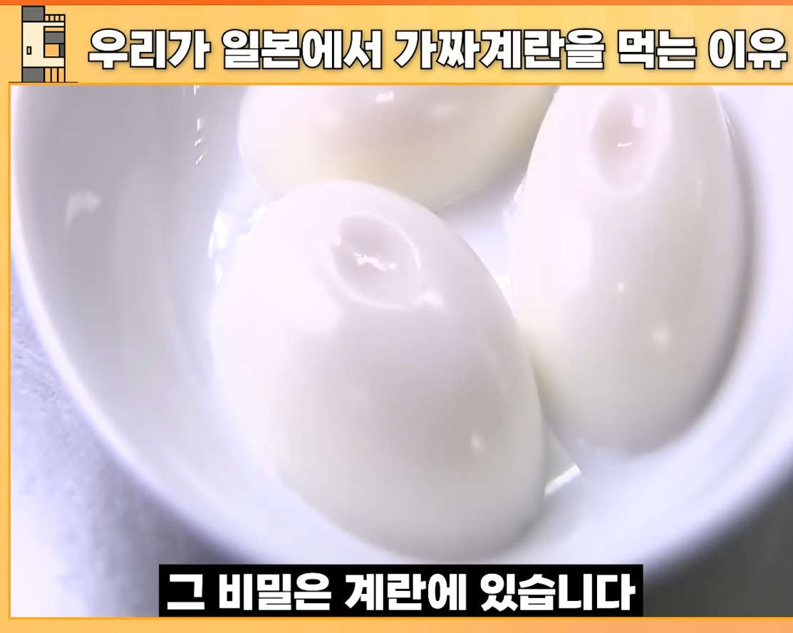 ???:일본 계란은 차원이 다름 | 인스티즈