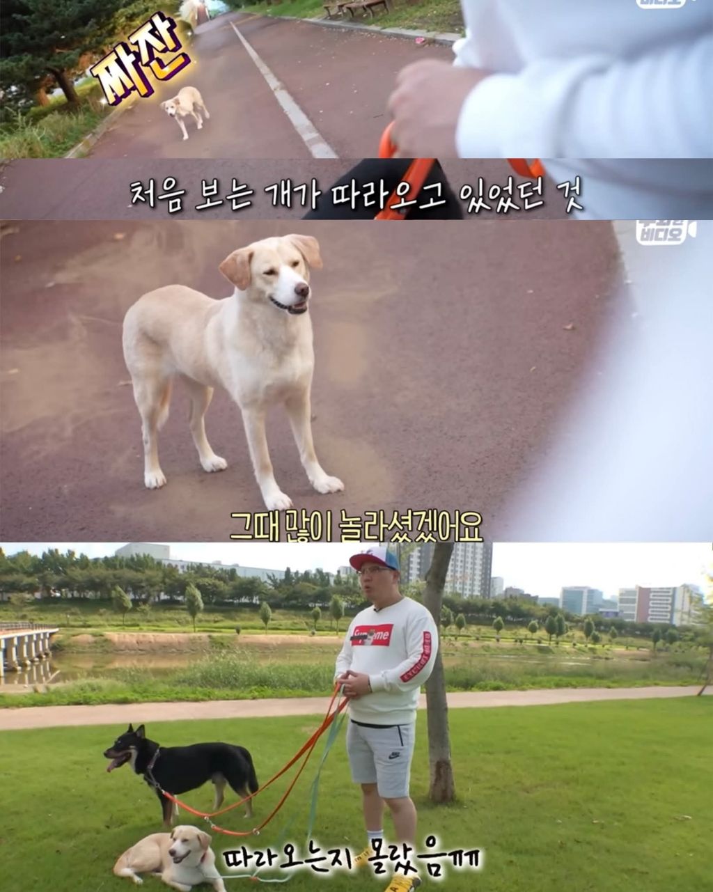 한달만에 집으로 돌아온 댕댕이 | 인스티즈