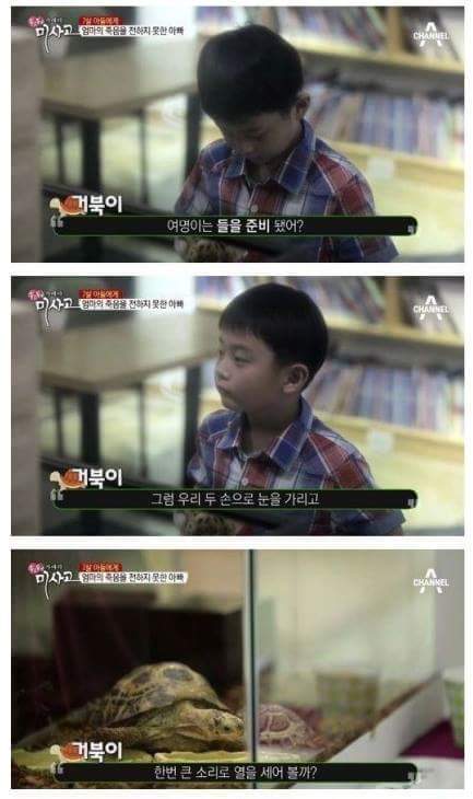 (진짜 너무 슬픔, 눈물 흘릴 각오 필수) 엄마의 죽음을 받아들이는 아이 | 인스티즈