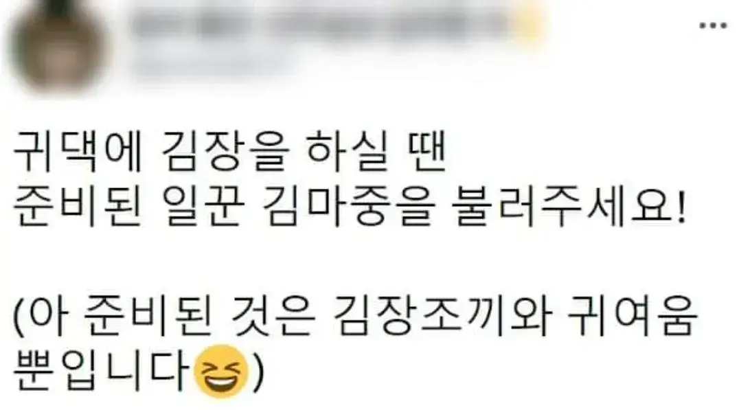 요즘 K-고양이 핫템.JPG | 인스티즈