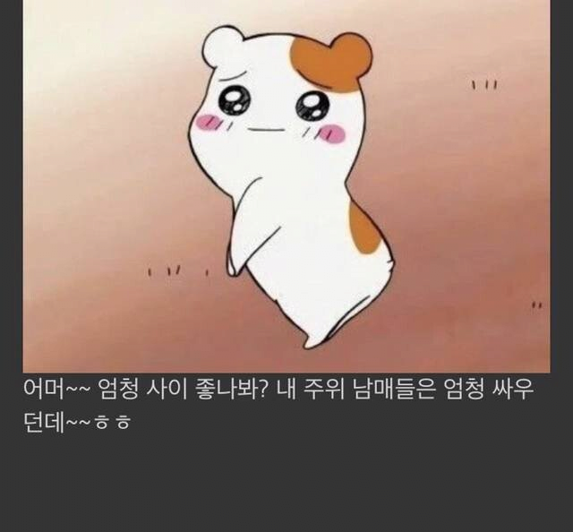 형제자매 안친한 사람들 특징.jpg | 인스티즈