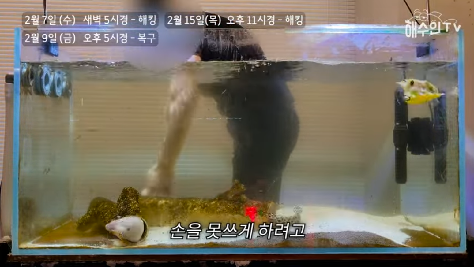 유튜브 계정이 3번이나 해킹 당한 이유 | 인스티즈