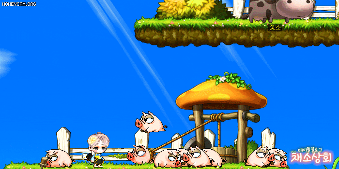 메이플스토리 데미지 스킨 모음 | 인스티즈