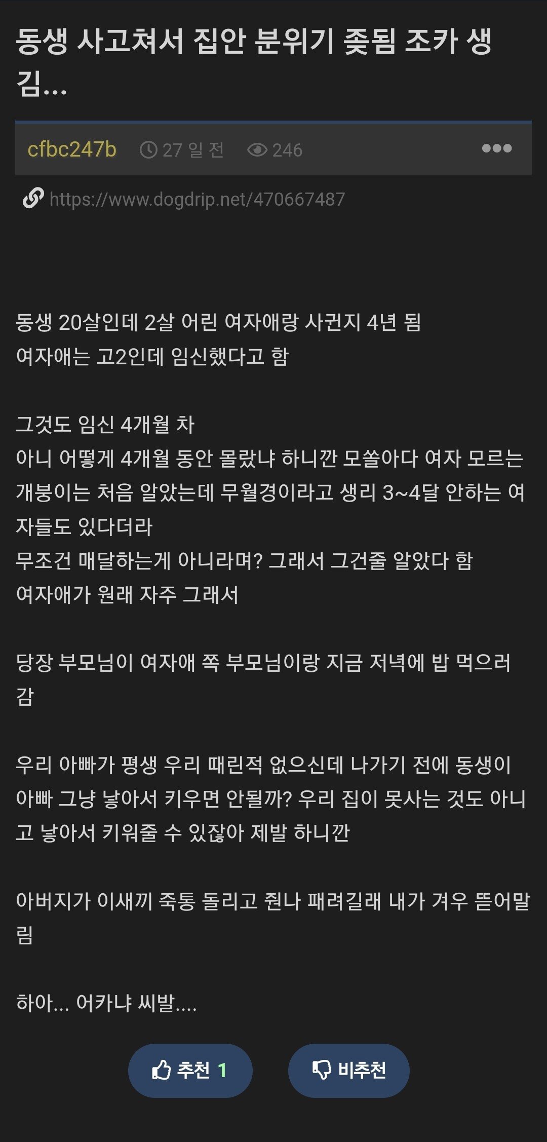 20살 동생이 18살 여고생 임신 시켰다는 개붕이.jpg | 인스티즈