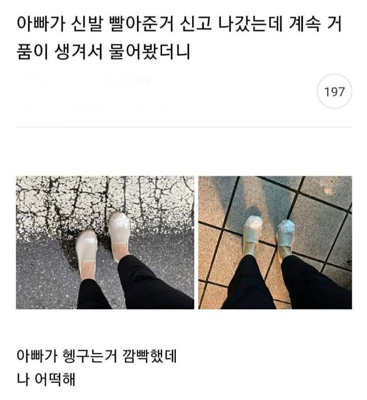 아빠가 신발 빨아준 거 신고 나갔는데 | 인스티즈