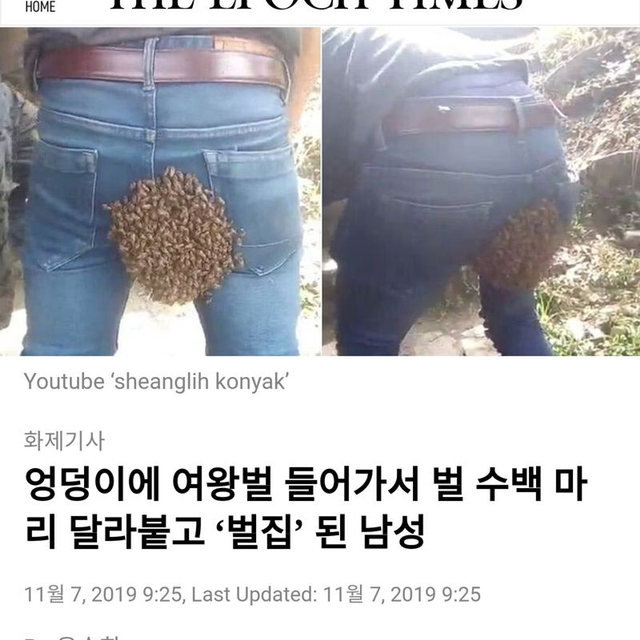 엉덩이에 여왕벌 | 인스티즈