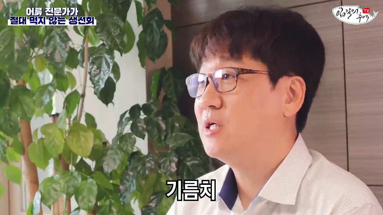 어류 전문가가 꼽은 절대 먹지 않는 생선회 7개 | 인스티즈