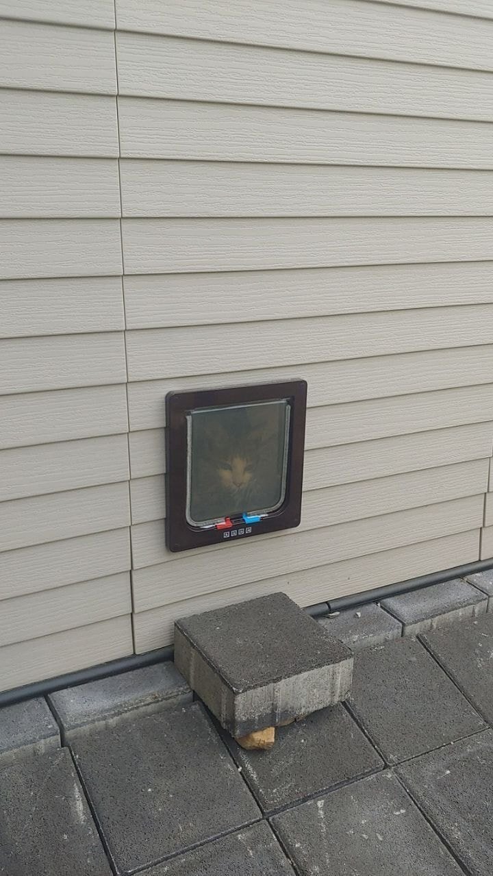 경남의 한 아파트의 길고양이 집.jpg | 인스티즈