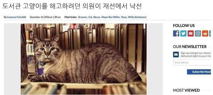 원수 갚은 고양이 | 인스티즈