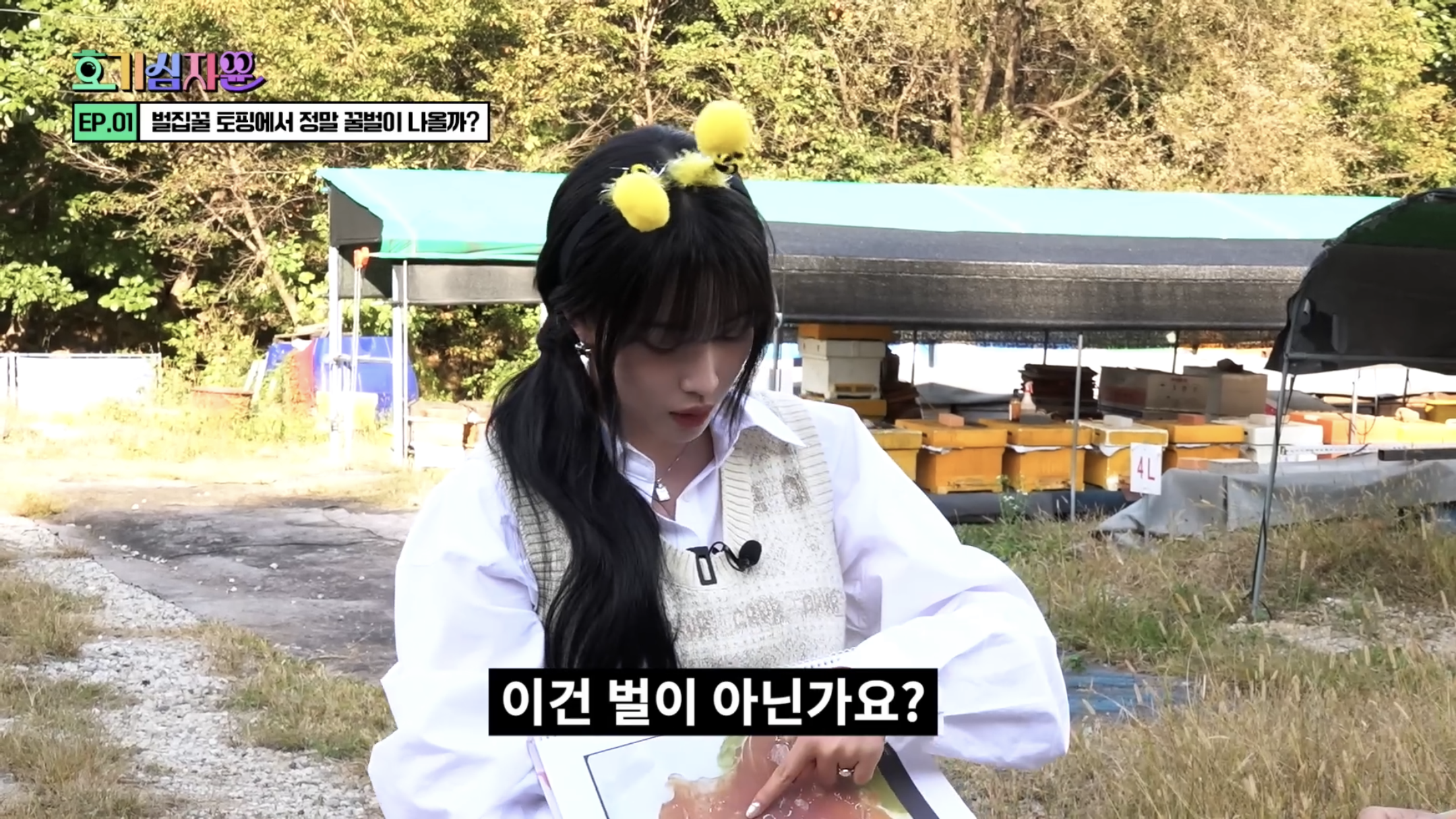 요거트 아이스크림 벌집꿀에서 나오는 벌의 정체............jpg | 인스티즈