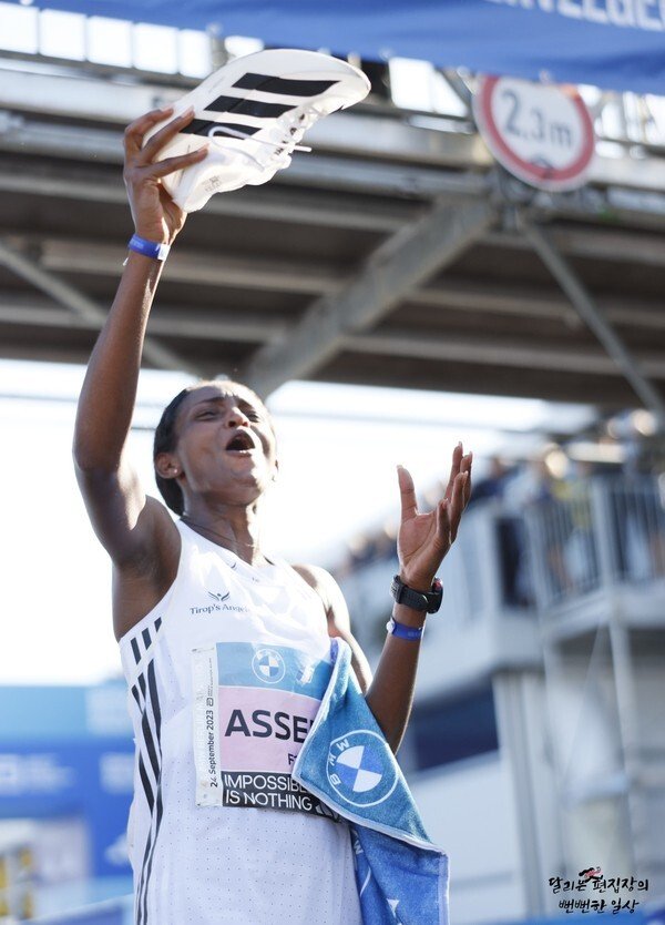 신형 아디다스 런닝화 가격 | 인스티즈