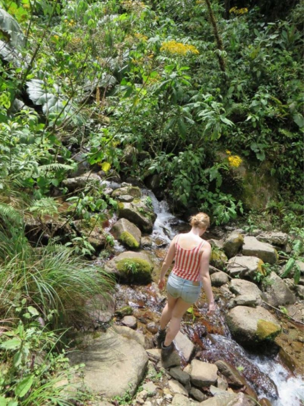 프론 크레머르스 실종사건 | 인스티즈