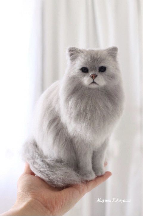 수공예 명품 고양이 | 인스티즈
