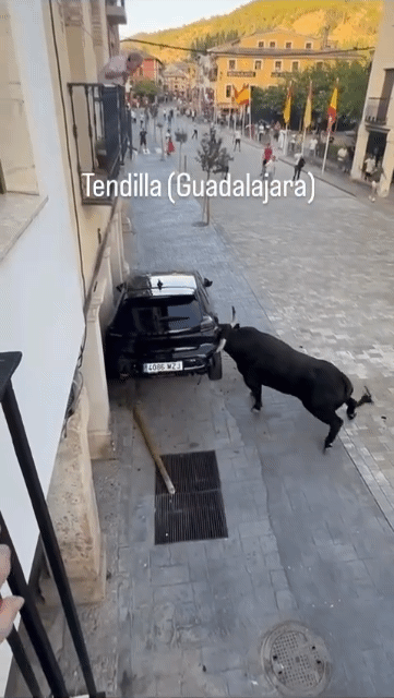 영상이 없었다면 보험사에서 안 믿을 상황 | 인스티즈