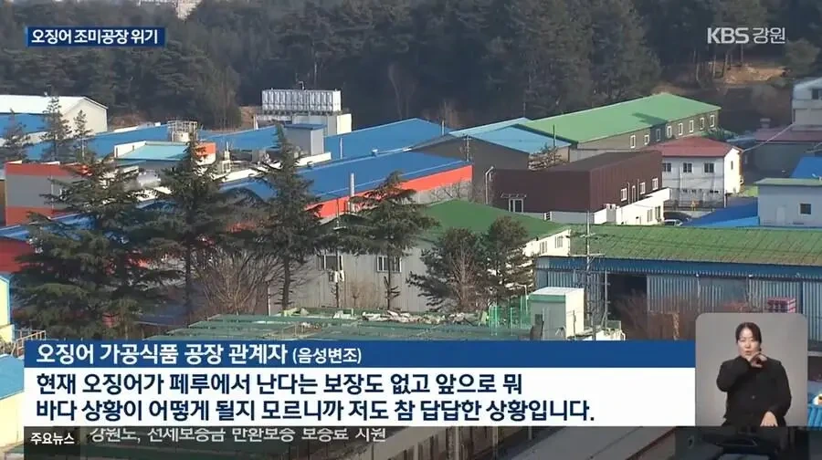 진미채 오징어 멸망각 근황 | 인스티즈