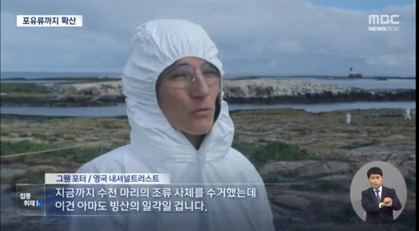 현재 전 세계로 퍼지고 있는 조류 독감.jpg | 인스티즈