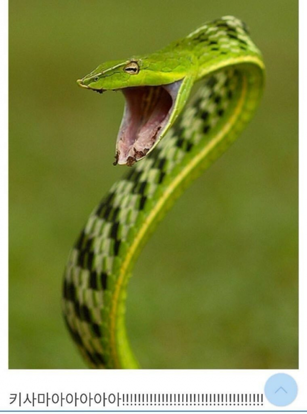 애니메이션 좀 봤다하면 아는 클리셰 | 인스티즈