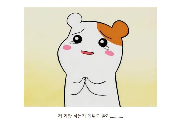 아이돌 팬들 사이에서 일 잘한다고 입소문 타고 있는 신생 소속사 | 인스티즈