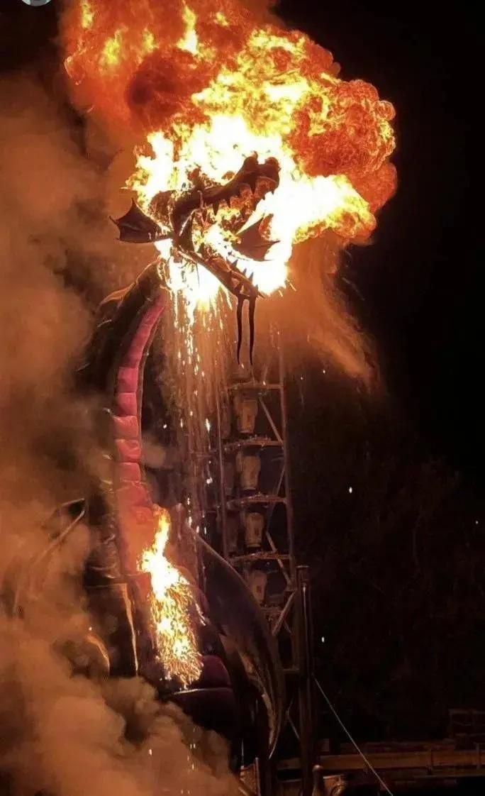 디즈니랜드에서 사고가 나도 사람들이 놀라지 않는 이유 | 인스티즈