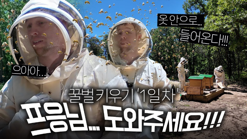 양봉 시작한 올리버쌤 근황.jpg | 인스티즈