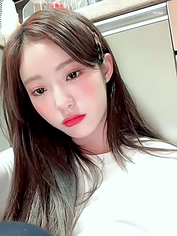 (스압)어제 브이앱 루다네 두부가게 루다.gif | 인스티즈