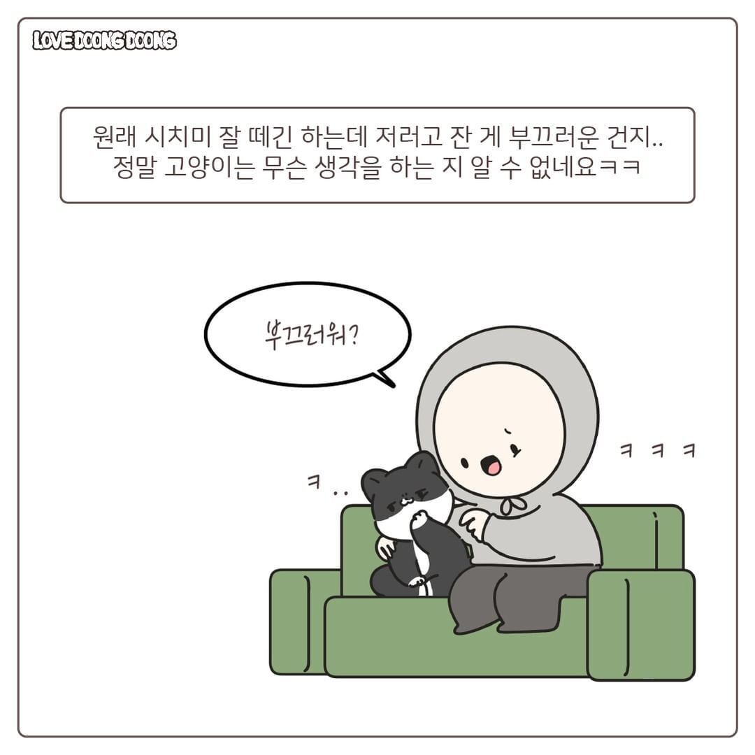 창틀에 낑겨서 자는 고양이.jpg | 인스티즈