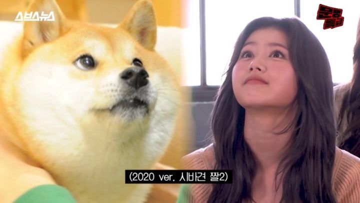 도지코인 닮은 아이돌 ㄷㄷㄷ.JPGIF | 인스티즈