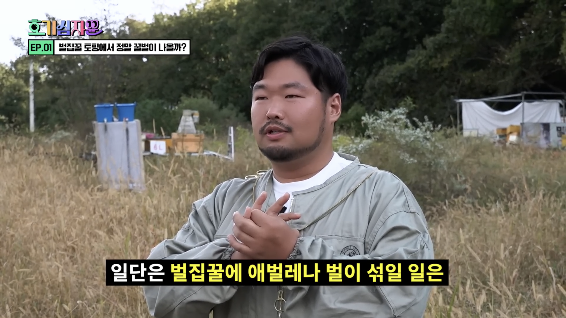 요거트 아이스크림 벌집꿀에서 나오는 벌의 정체............jpg | 인스티즈