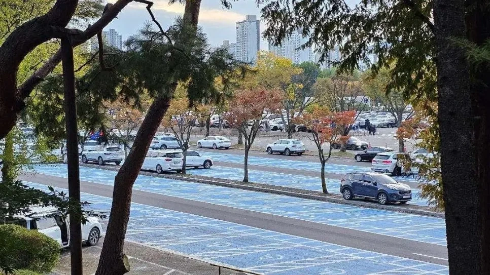 무개념 주차가 많은 서울대공원 주차장 | 인스티즈
