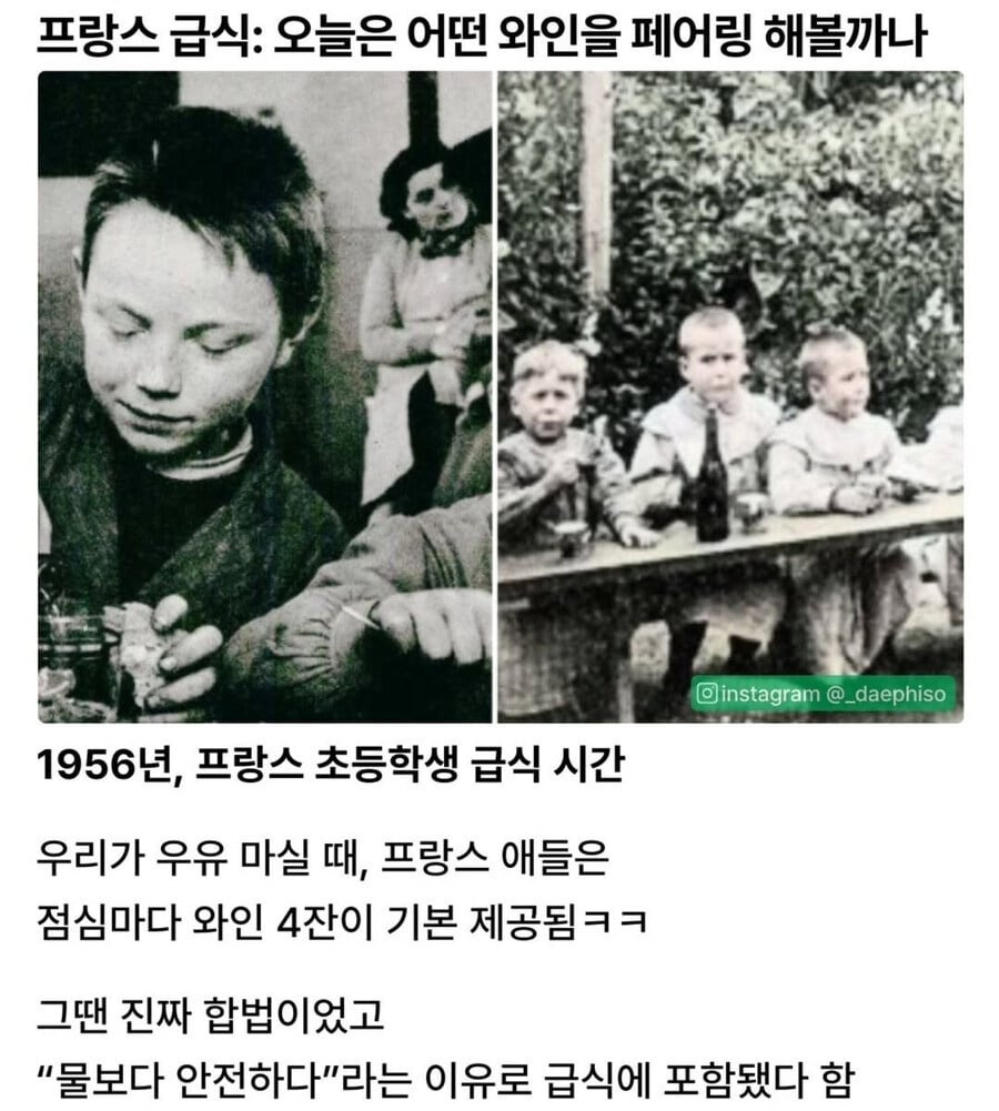 1950년대 프랑스의 급식에서 나온 것 | 인스티즈