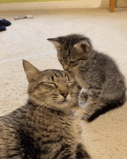 육아는 힘들어.gif | 인스티즈