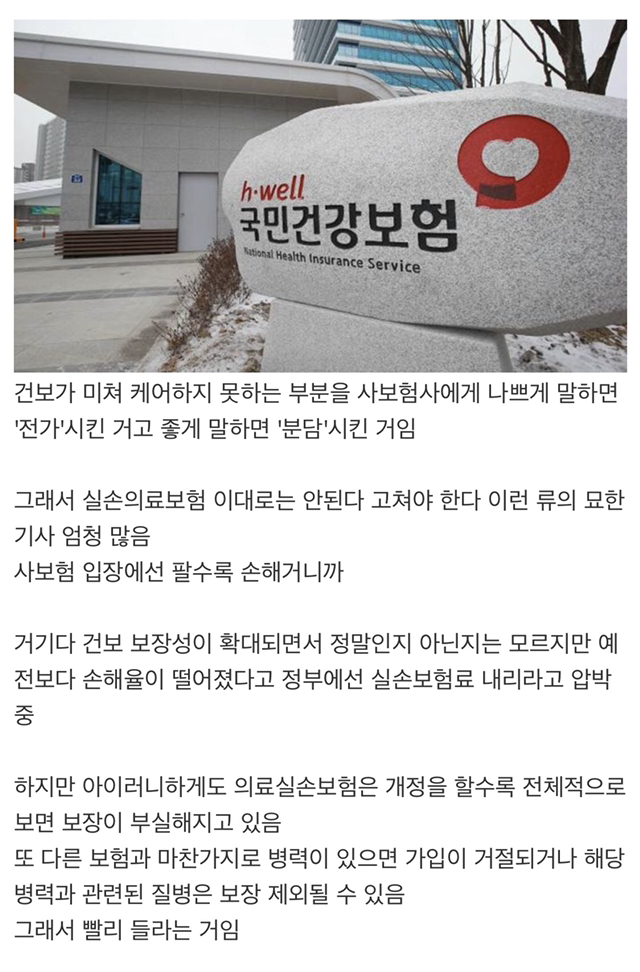 지금 안 하면 땅을 치고 후회하는 거 (feat.2021년 7월부터바뀜) | 인스티즈